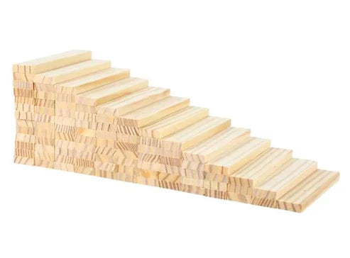 Wooden Model Building Blocks