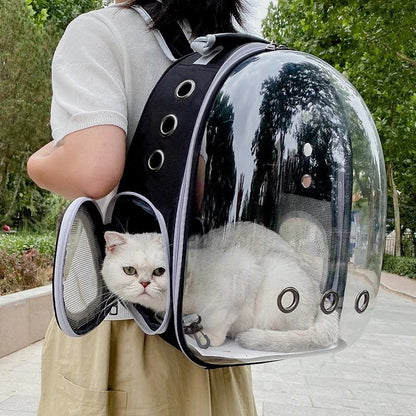 Pet Cat Carrying Bag Space