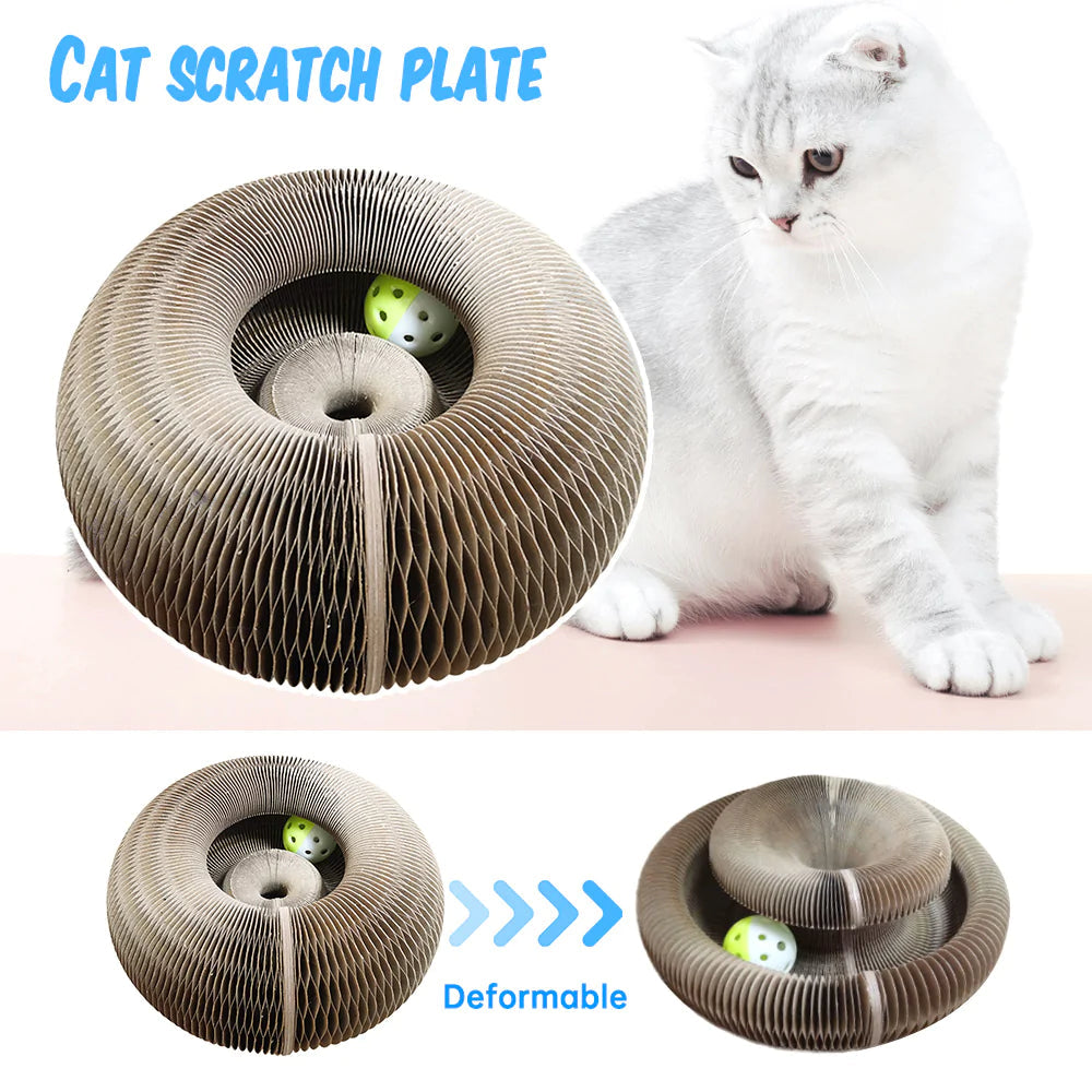 Magic Organ Scratch Board Cat Toy with Bell