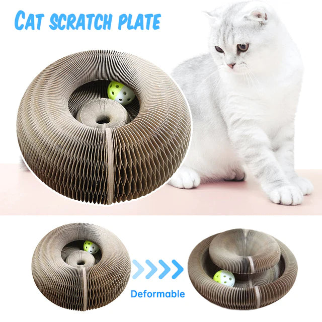 Magic Organ Scratch Board Cat Toy with Bell